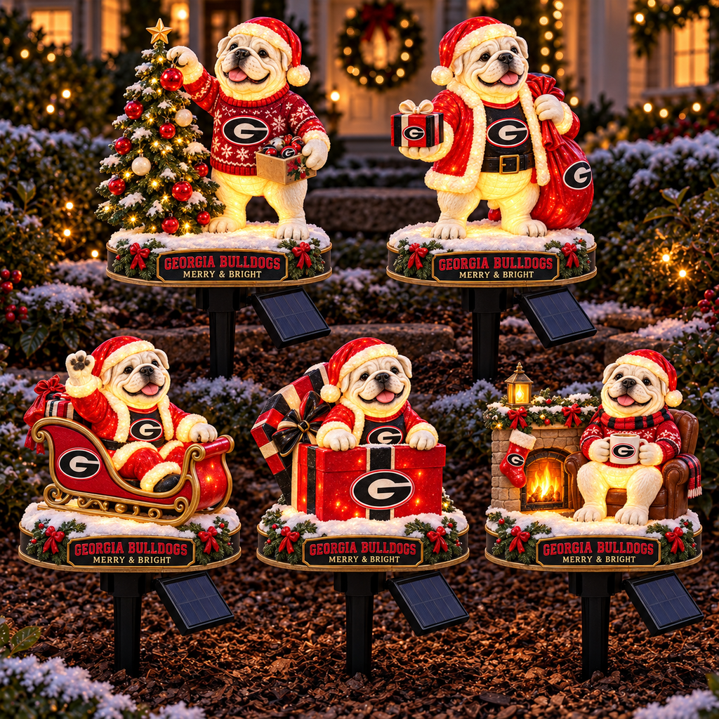 GGBD PREMIUM CHRISTMAS SOLAR GARDEN LIGHTS SET HQH